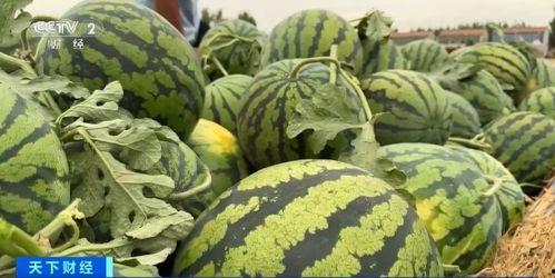 吃瓜视频直链 第1张 吃瓜视频直链 第1张